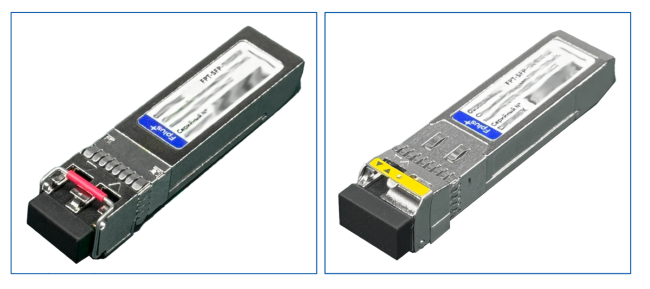 sfp_2images.png